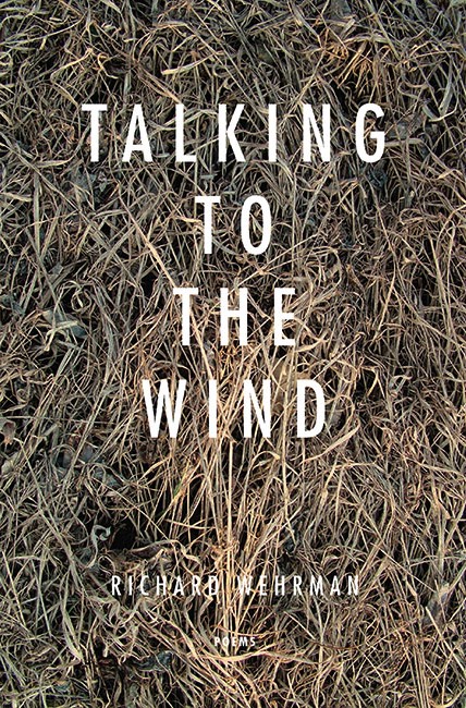 Talking To The Wind book cover image